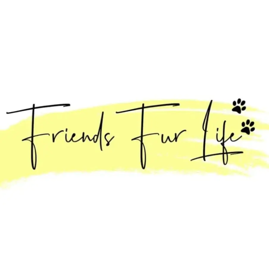 founder